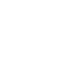no added sugar